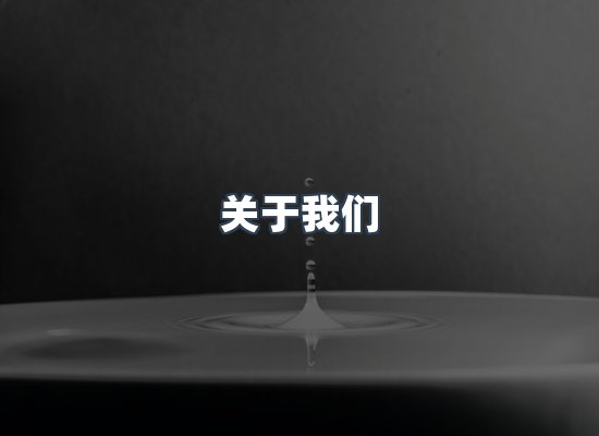 专业团队